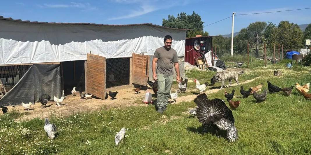 Şehirden kaçtı kendini köye attı! 27 yaşında hayvancılığa ‘Merhaba’ dedi 6